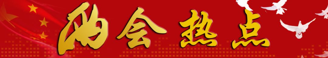 與你相關(guān)！政府工作報告釋放了什么教育信號？聽代表委員為你解讀 | 兩會熱點