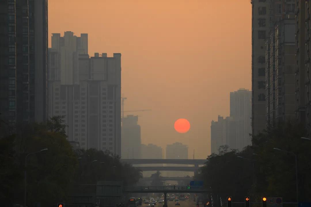 重磅！今后我省這些專業(yè)擬在一本招生